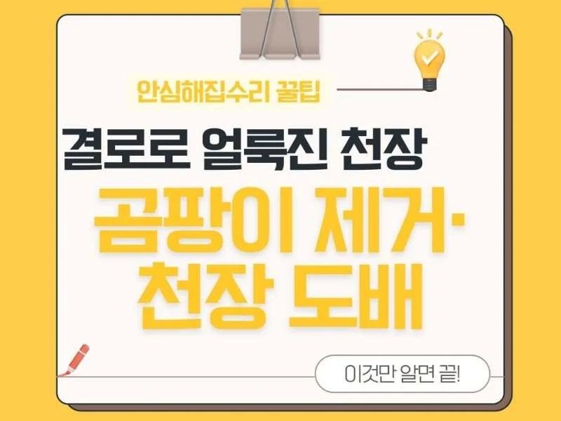결로 곰팡이 제거 도배 시공 가이드